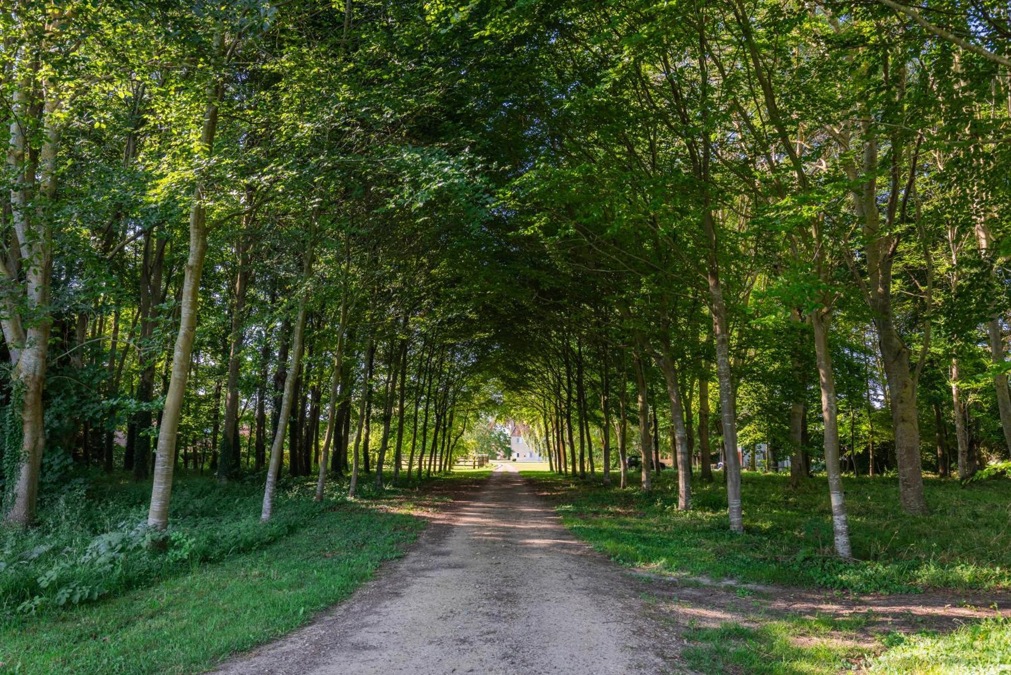 La Maison Corniere Bieville-en-Auge Buitenkant foto